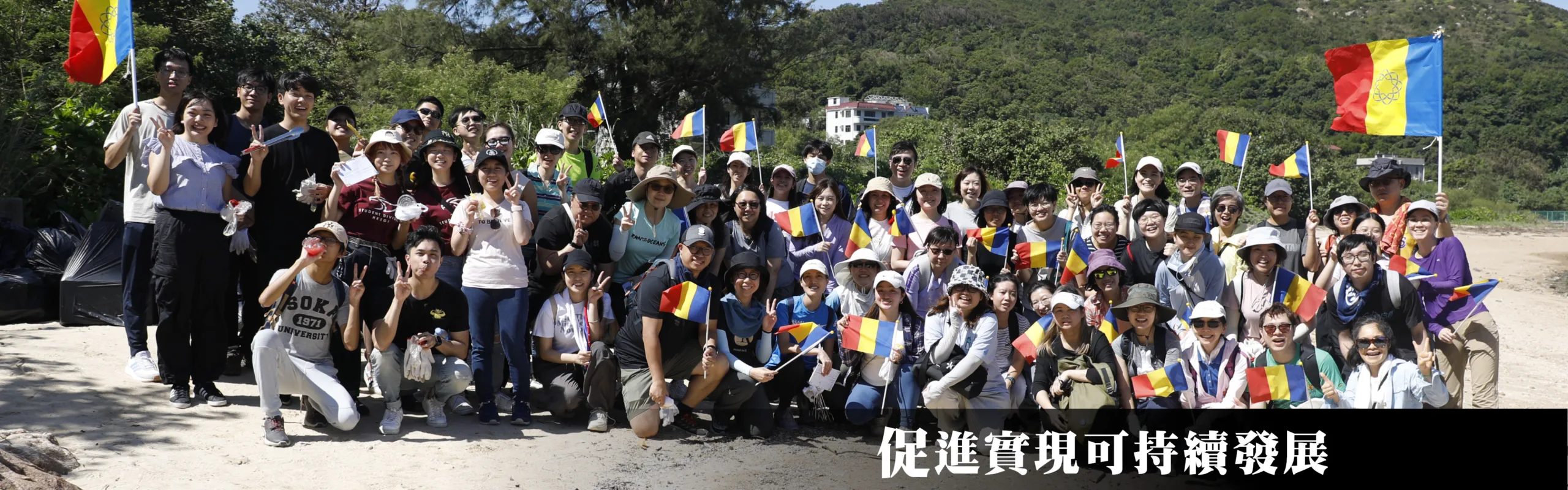 促進實現可持續發展